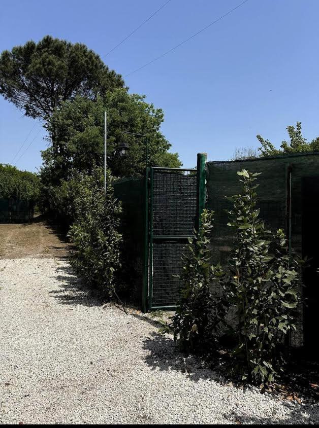 Casa vacanze Appia Antica Giardino Parcheggio Fermata Bus 4 Ospiti *